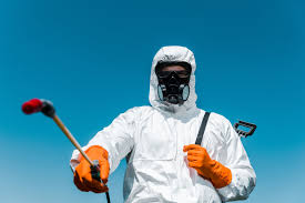 Best Organic or Eco-Friendly Pest Control  in Summit, NJ